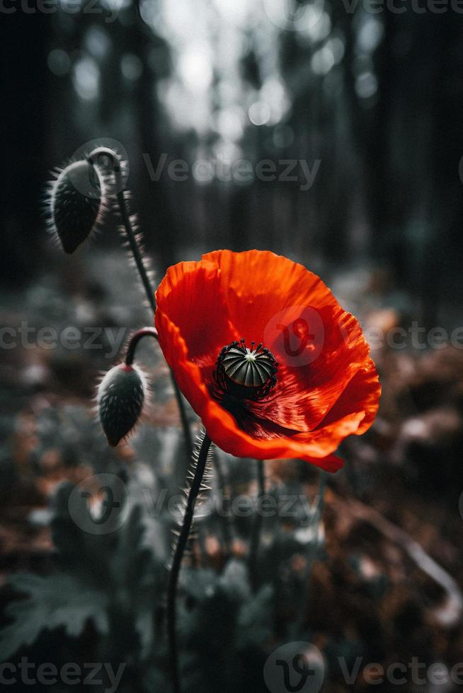 polly bloem in de wild boeiend fotografie van een mooi en bijzonder bloesem foto