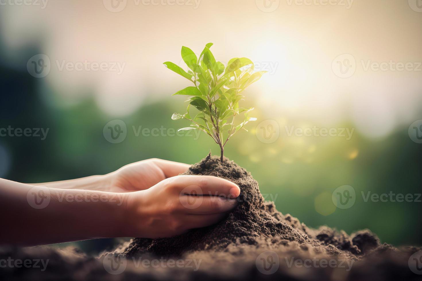 vergroening voor een duurzame toekomst verminderen co2 uitstoot door hernieuwbaar energie voor een gezonder ecologie en een koeler planeet Aan aarde dag foto