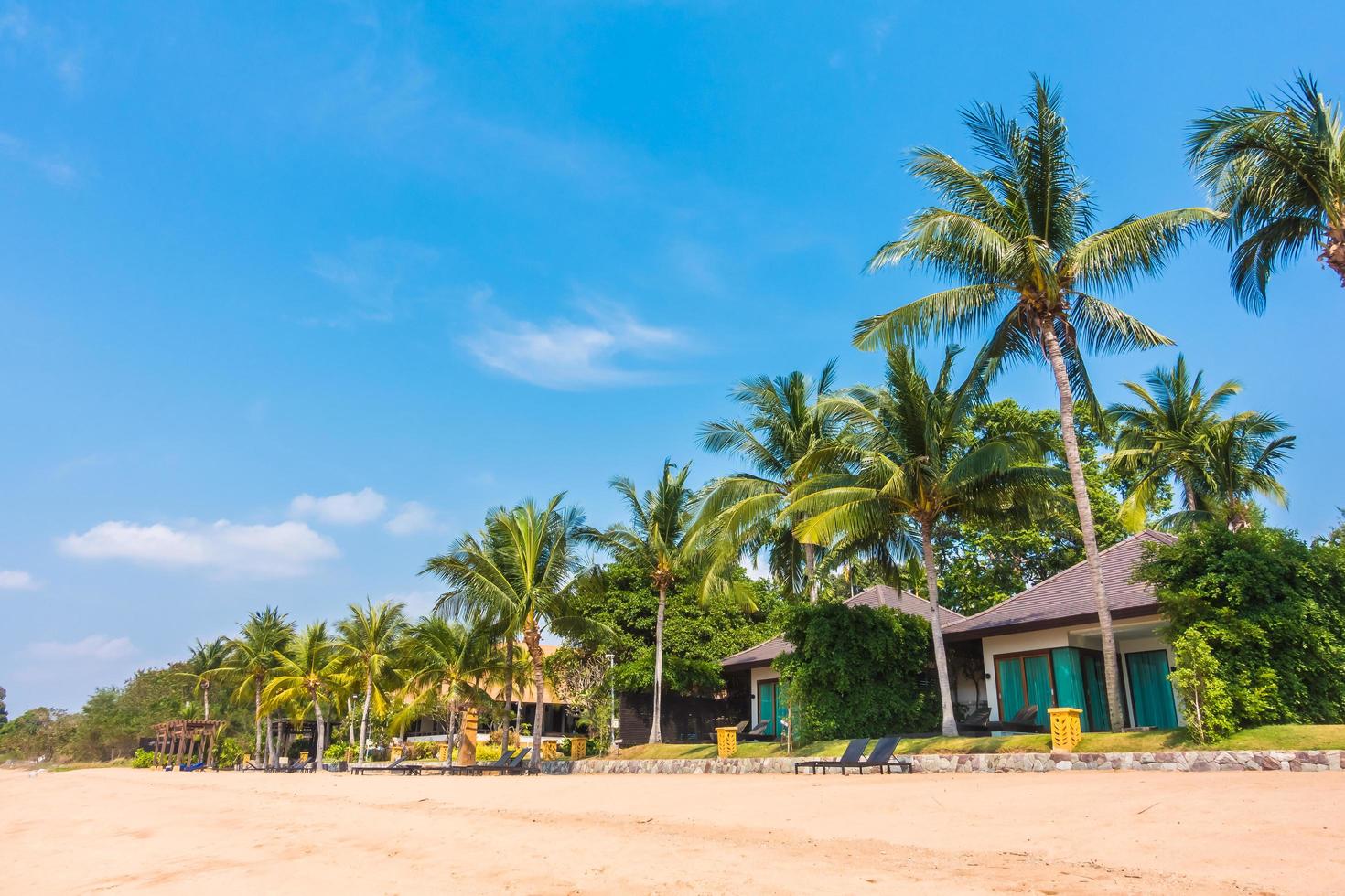 prachtig strand met palmbomen foto