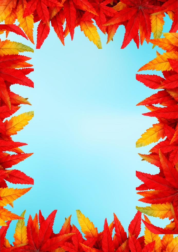 blauw lucht en oranje geel bladeren foto