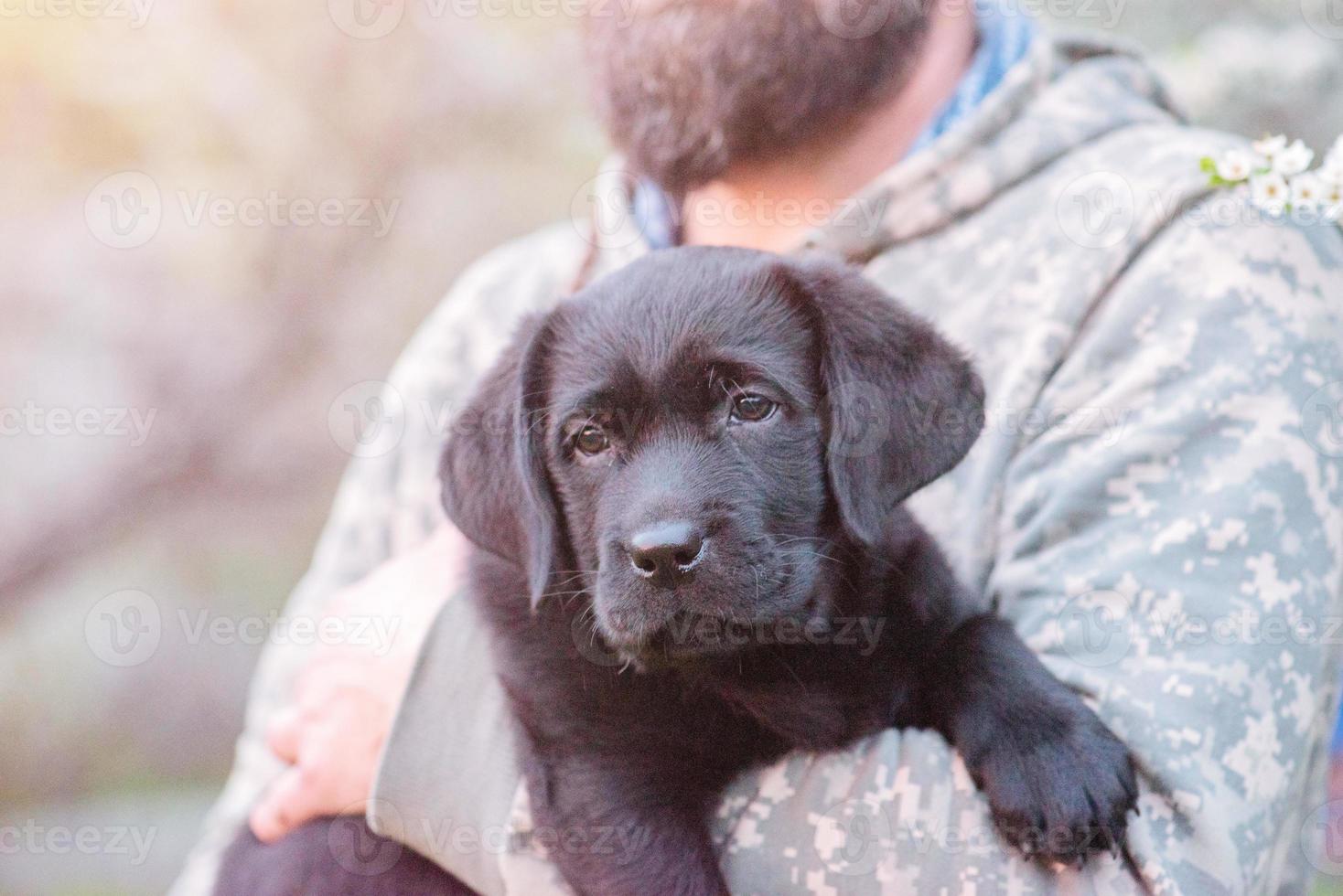 een klein labrador retriever puppy in de armen van een gebaard Mens in leger kleren in de lente. een huisdier. foto