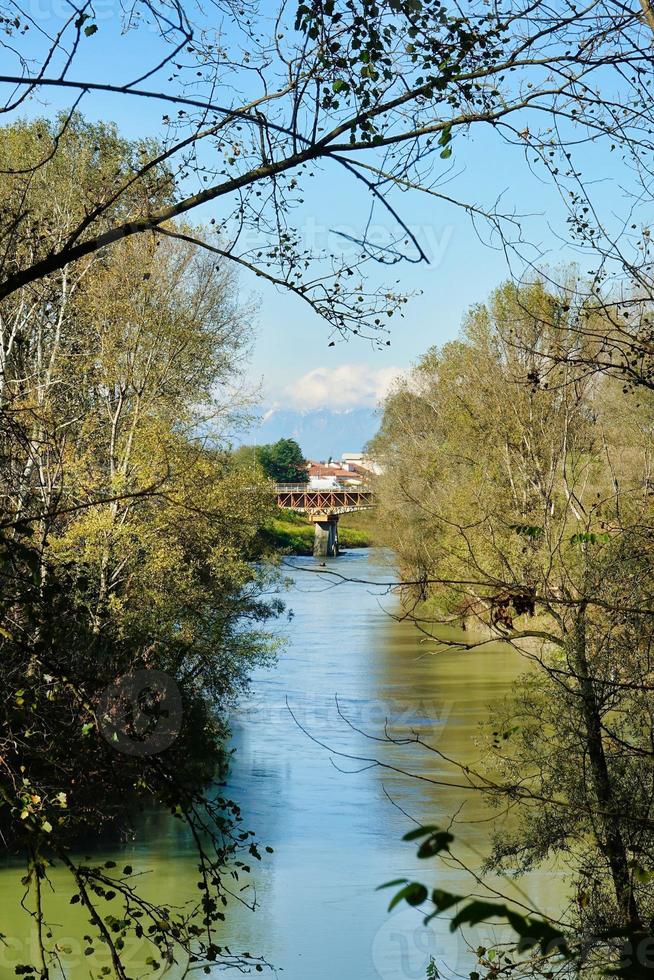 toneel- Woud landschap foto