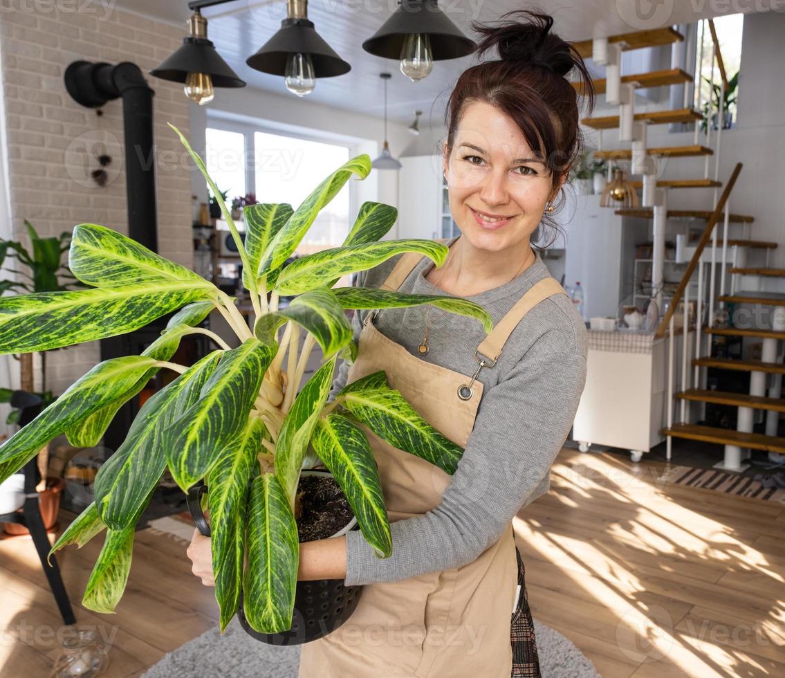 een gelukkig vrouw in een groen huis met een ingemaakt fabriek in haar handen glimlacht, duurt zorg van een bloem. de interieur van een knus milieuvriendelijk huis, een haard fornuis, een hobby voor groeit en fokken thuisplant foto