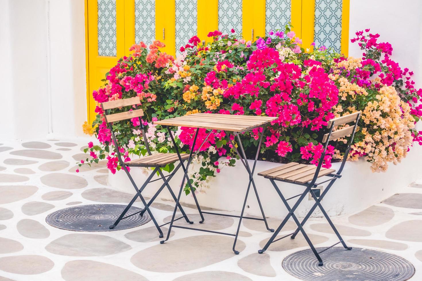 bloemen op santorini, griekenland foto