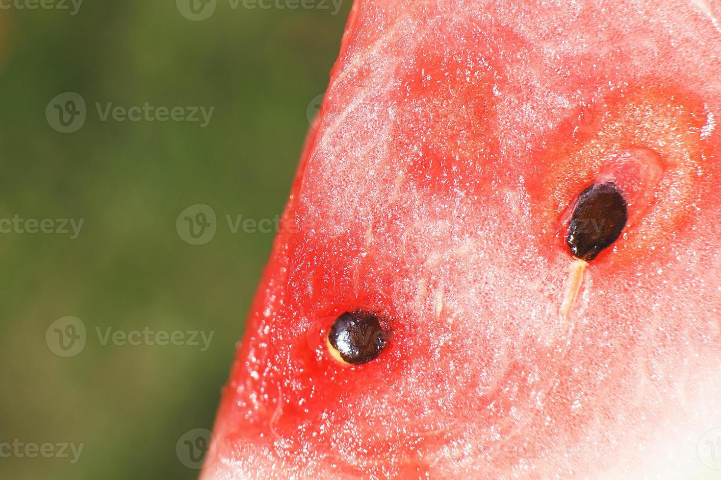 plak van watermeloen Aan groen achtergrond detailopname. watermeloen zaad macro foto