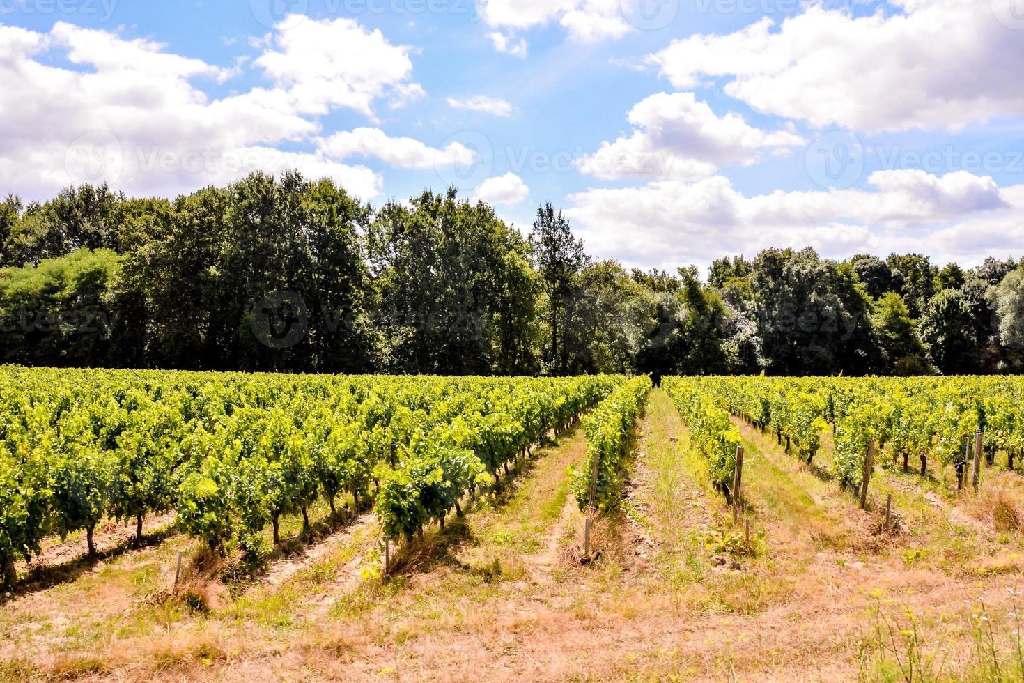 toneel- landelijk landschap foto