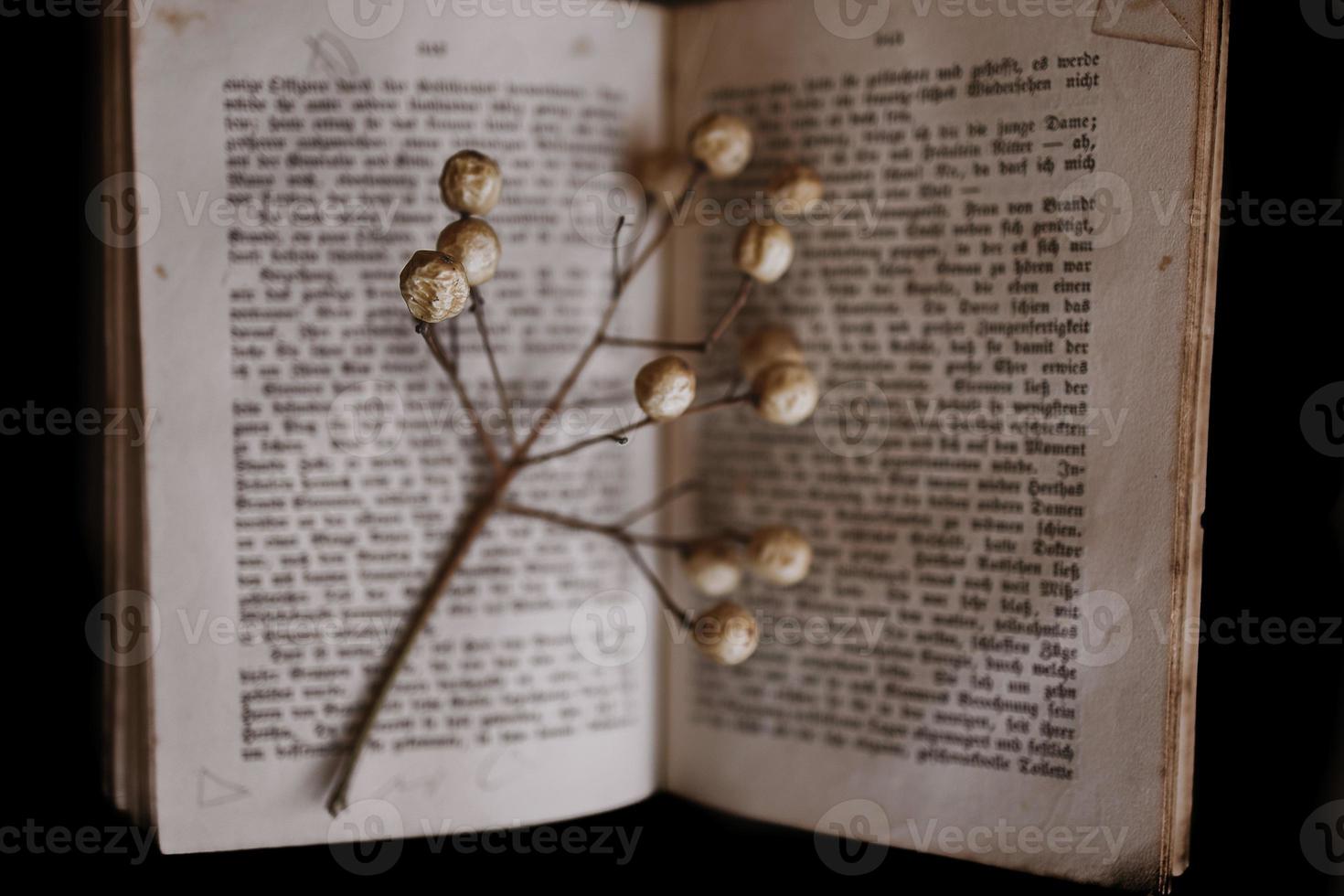 Ruit van melia Aan de achtergrond van de oud boek. detailopname. achtergrond. wijnoogst foto