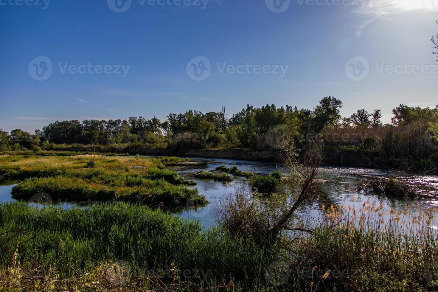 Spaans landschap door de gallego rivier- in aragon Aan een warm zomer zon dag met groen bomen en blauw luchten foto