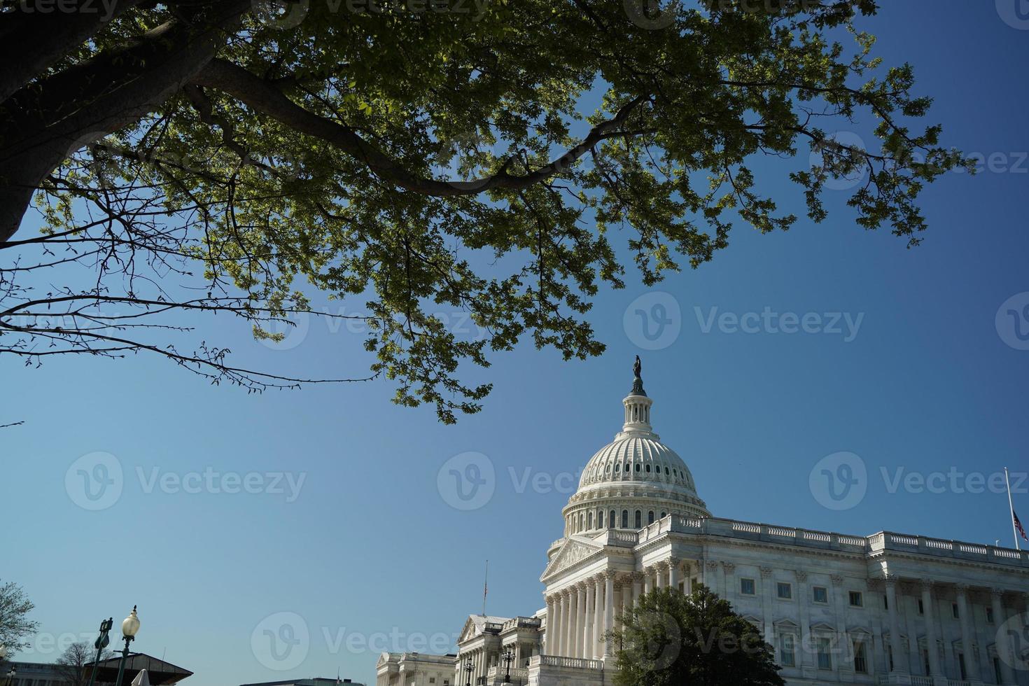 Washington dc Capitol detail foto