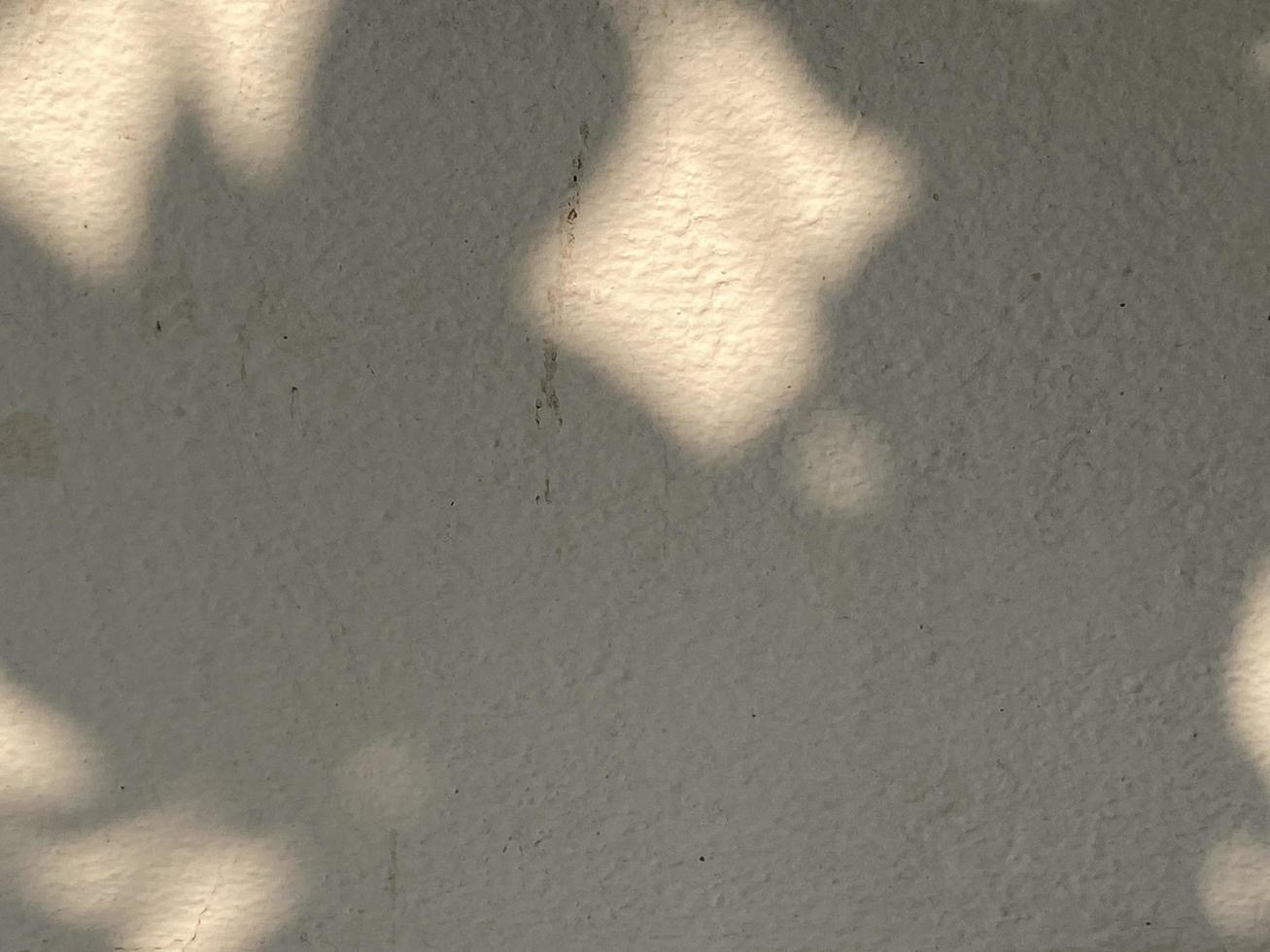 bladeren schaduw achtergrond Aan beton muur textuur, bladeren boom takken schaduw met zonlicht foto