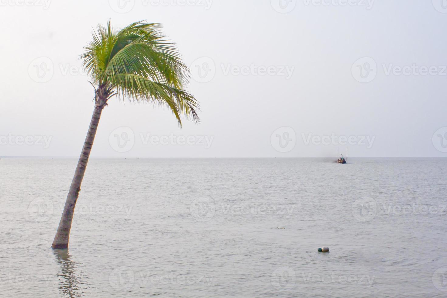 rivier- erosie scenario van kust- riem baai van Bengalen. foto