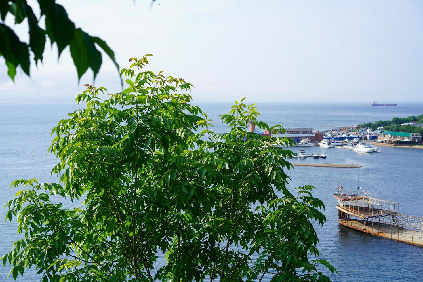 zeegezicht van schepen in een jachthaven in Vladivostok, Rusland foto