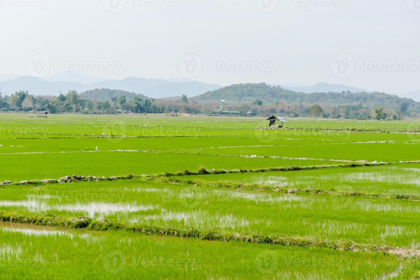 toneel- landelijk landschap foto