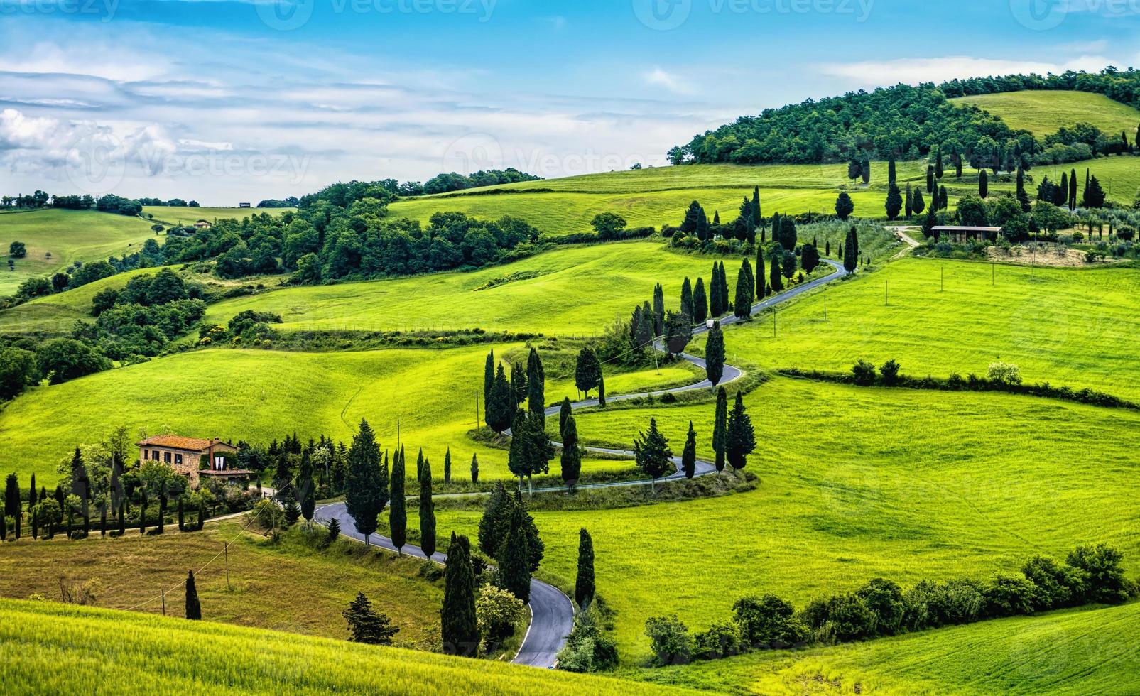 bochtige weg met bomen en heuvels in Toscane foto