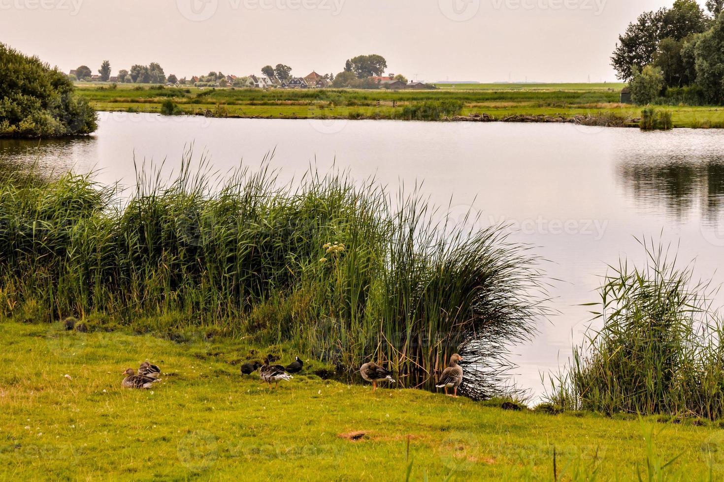 toneel- landelijk landschap foto