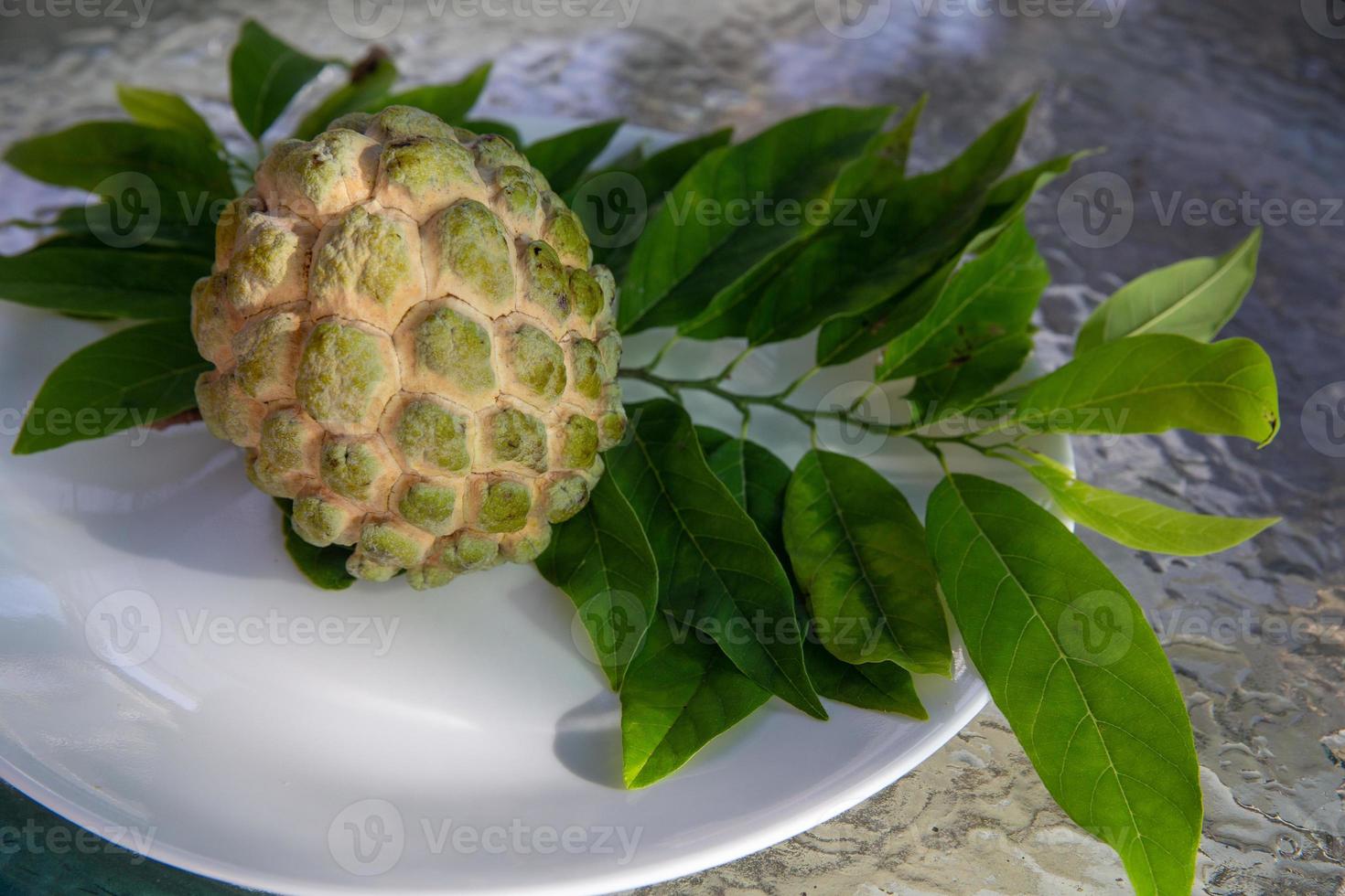 hand- geplukt cherimoya foto