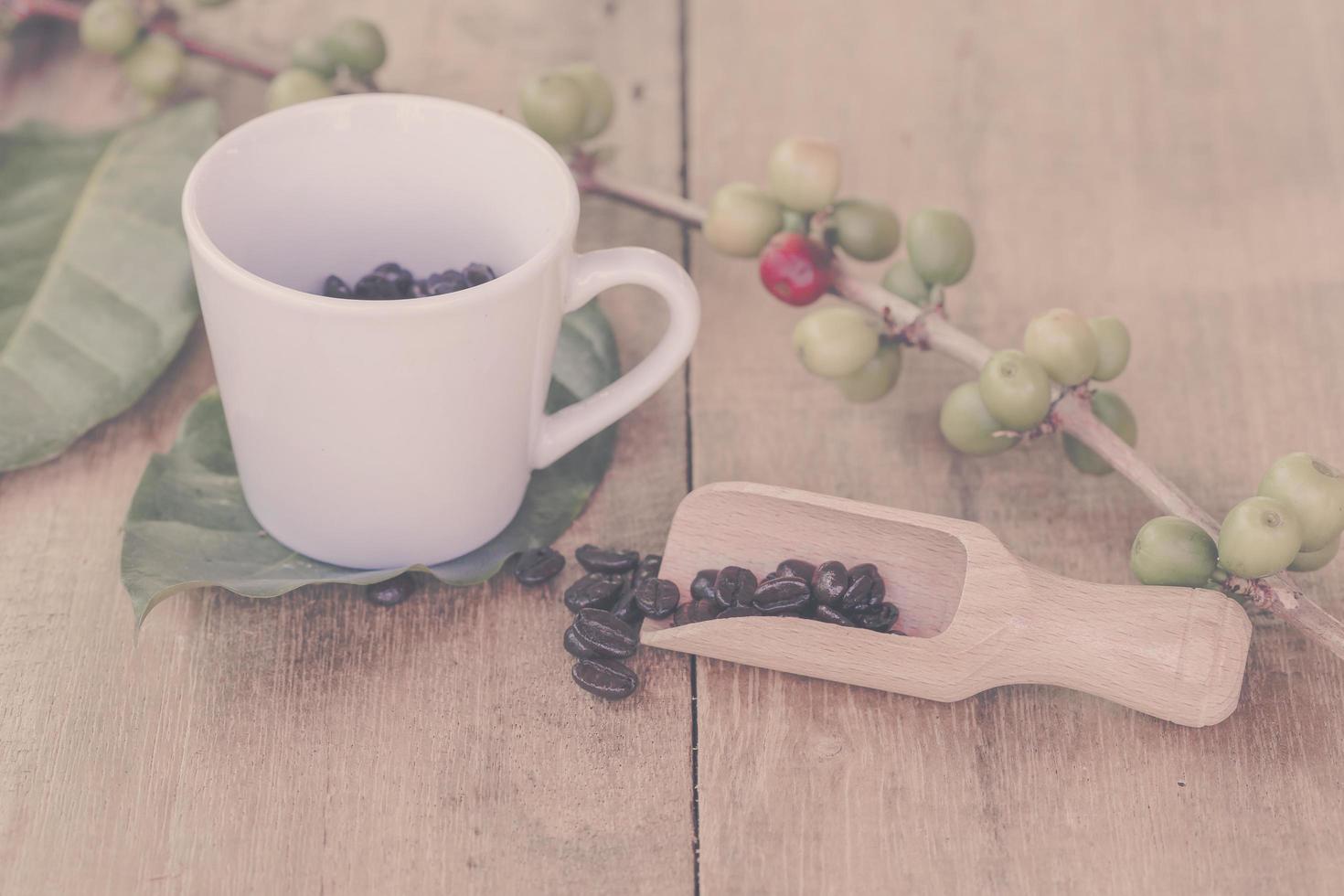 vers koffie bonen Aan hout en koffie kop foto