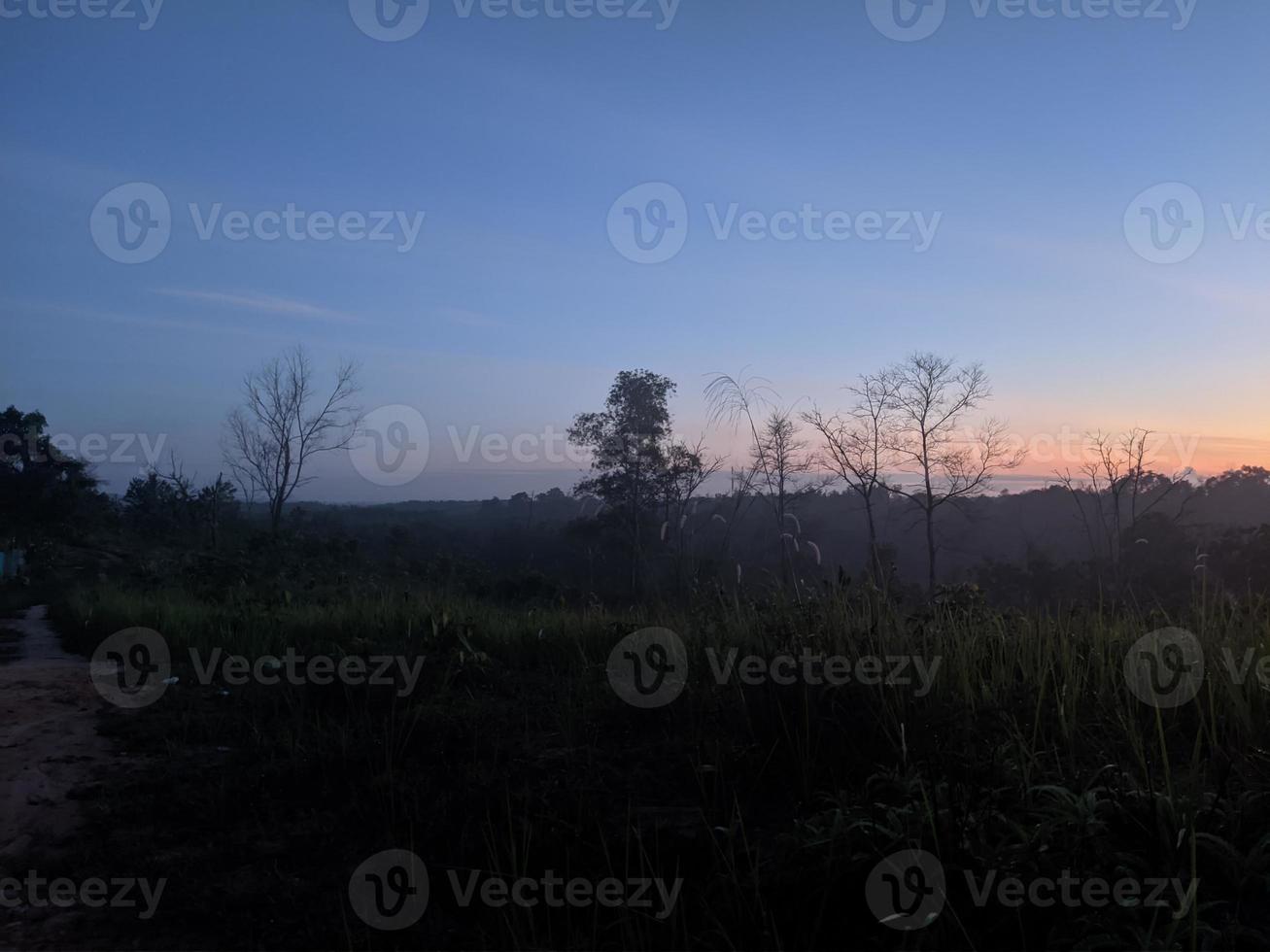 landschap foto, ochtend, licht mist foto