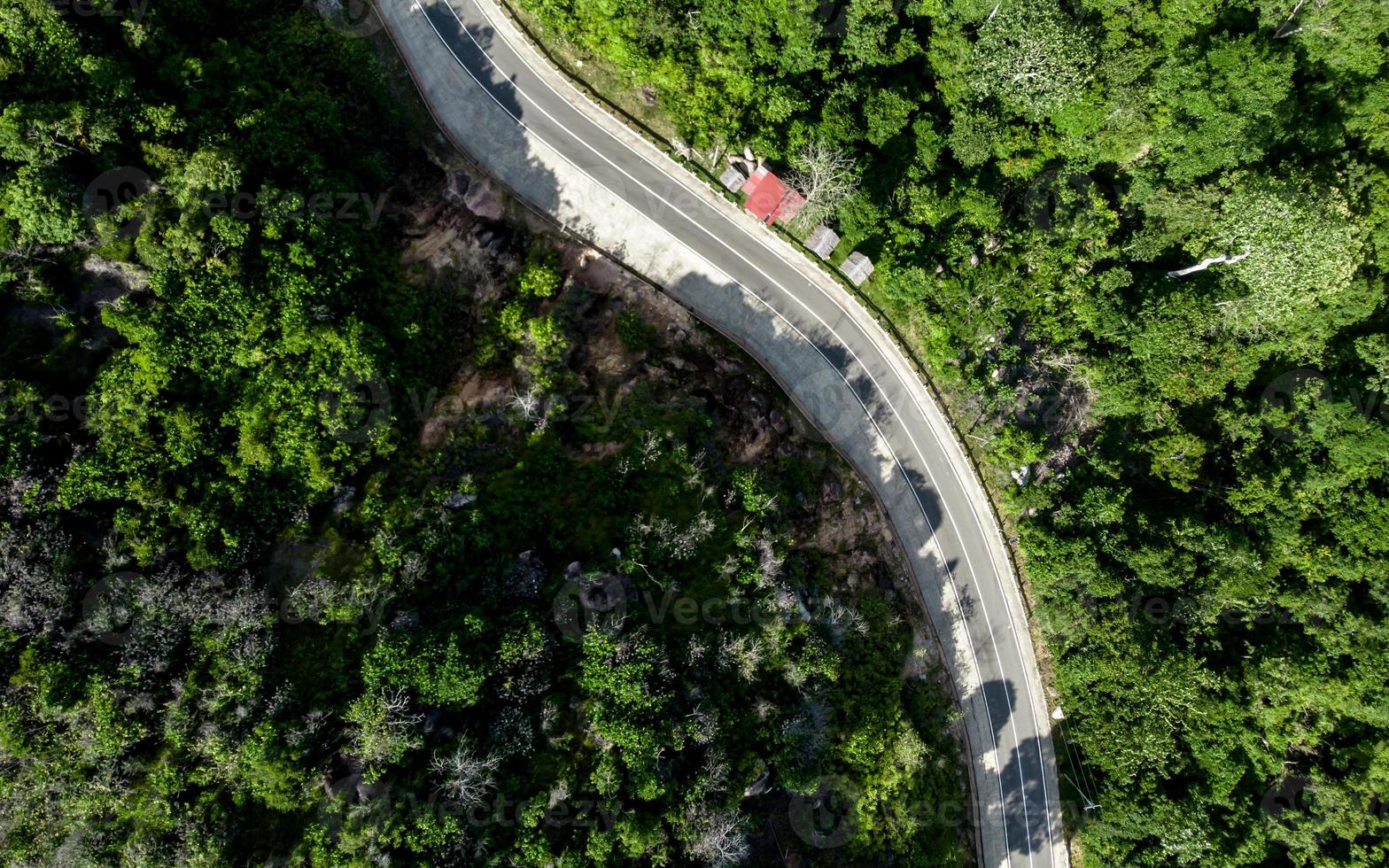 antenne visie van leeg kronkelend weg in een Woud. snelweg door bos- foto