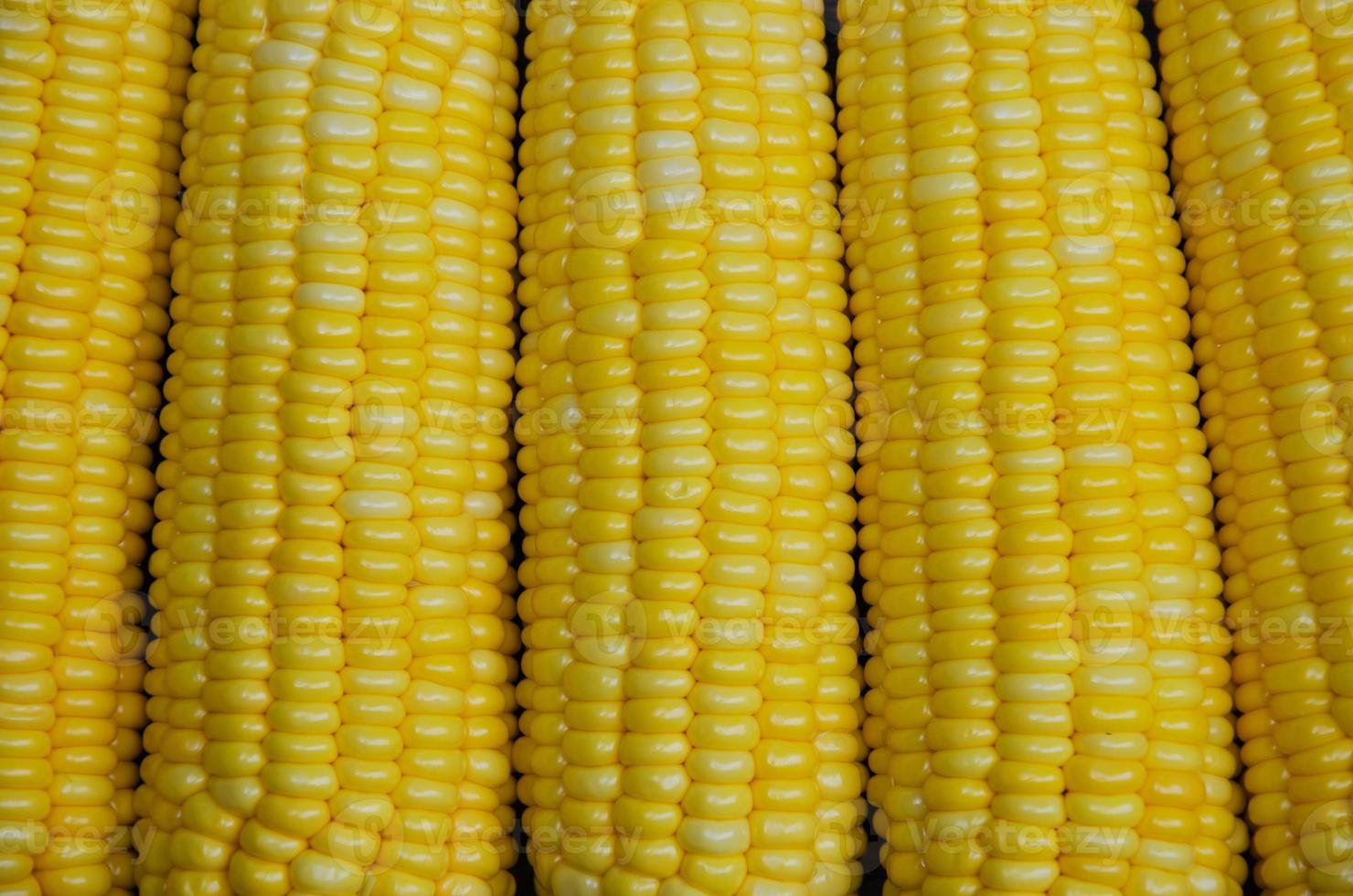 vers biologisch zoet maïs detailopname detail foto