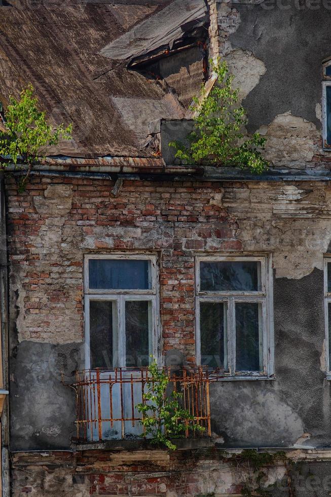 oud geruïneerd huis, en groeit Aan de ramen van een klein boom foto