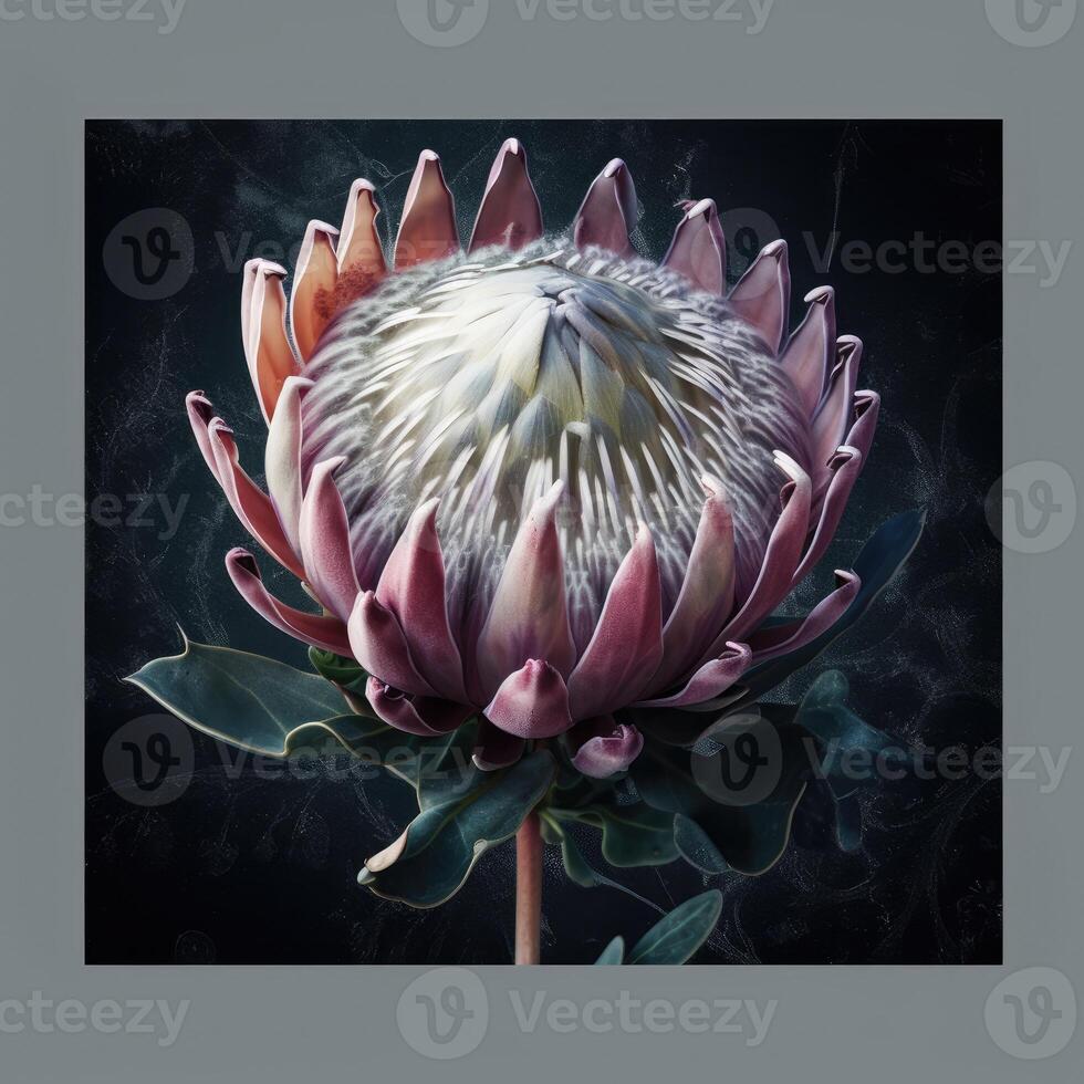 mooi bloeiend bloem waar flora, protea susara..gemaakt met generatief ai foto