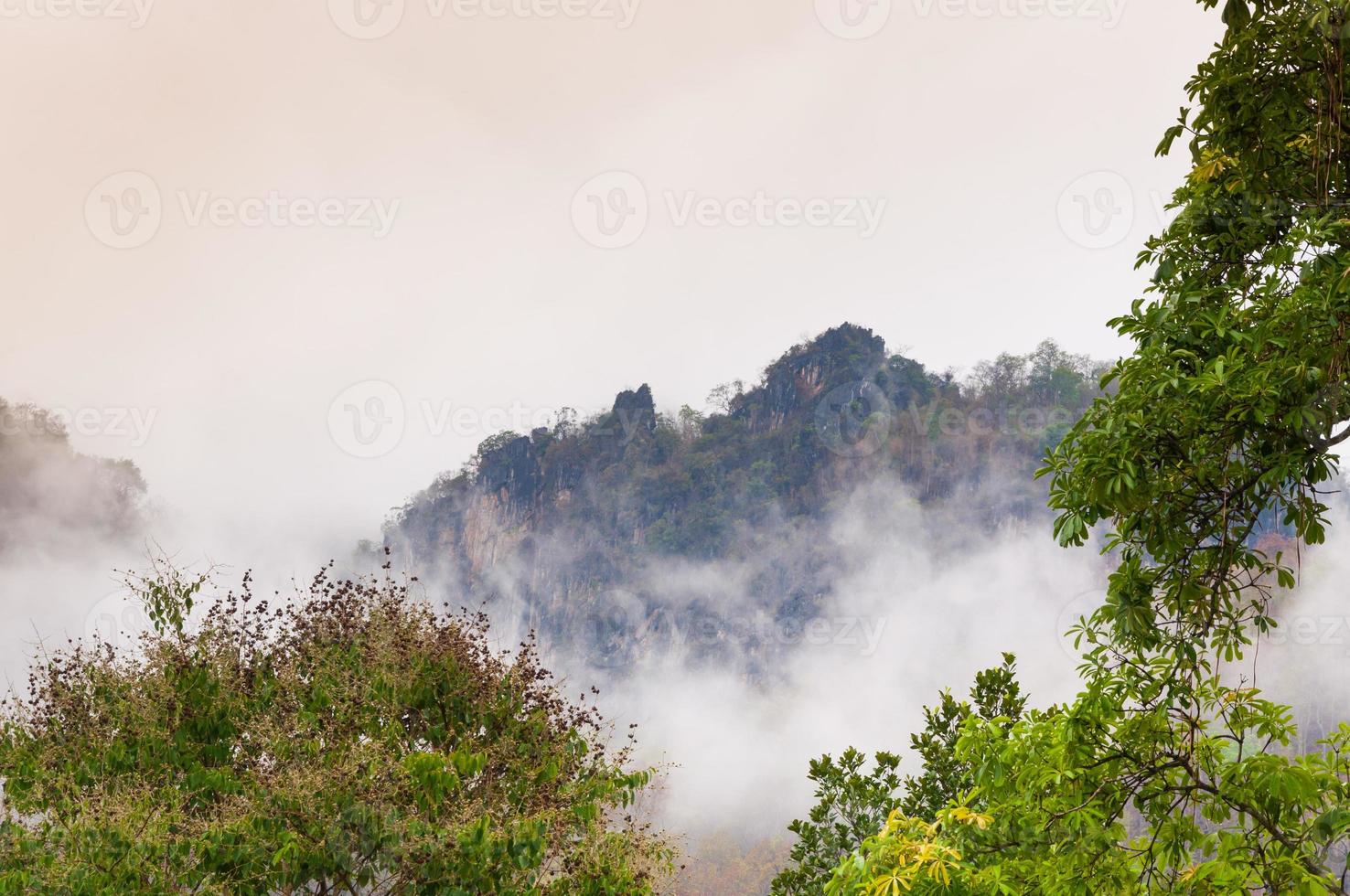 berg groen Woud in de de nevel noordelijk Thailand, verbazingwekkend visie van bossen foto