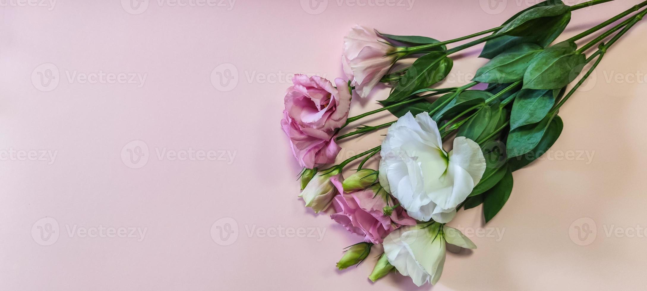 roze en witte rozenbloemen met copyspace foto