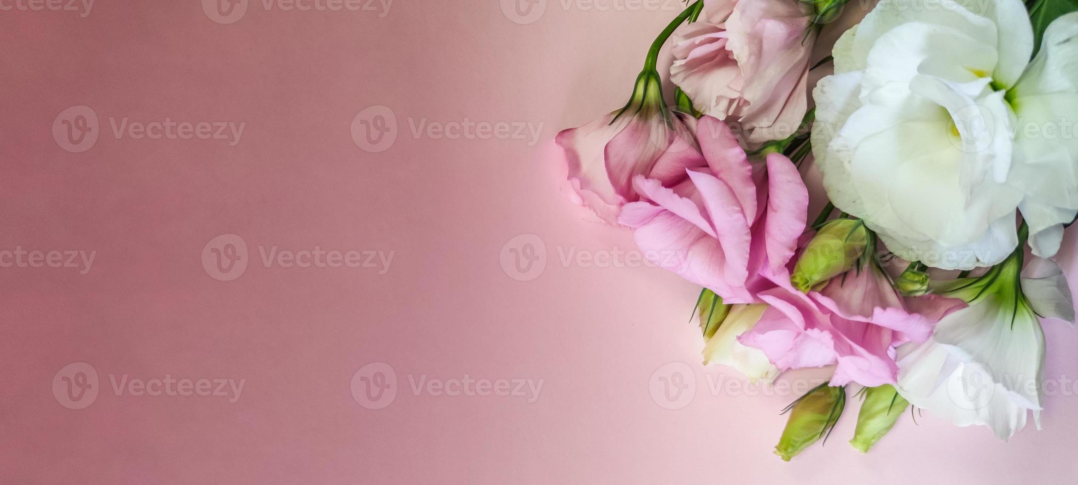 roze en witte rozenbloemen met copyspace foto