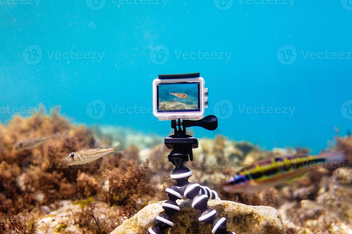 actiecamera in waterdichte doos gebruiken om onder water foto's en video's te maken foto