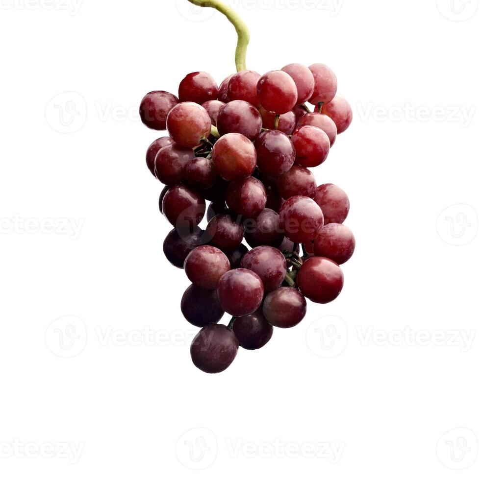 rood druiven geïsoleerd Aan wit foto