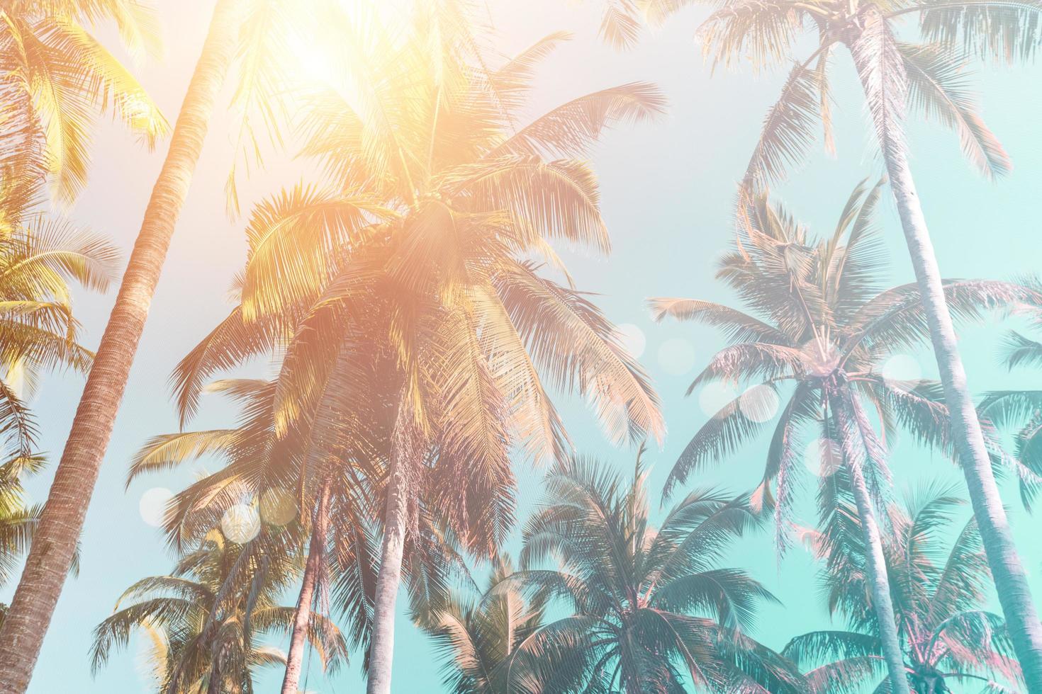 tropische palmkokospalmen op de gloed van de zonsonderganghemel en bokeh aardachtergrond. foto