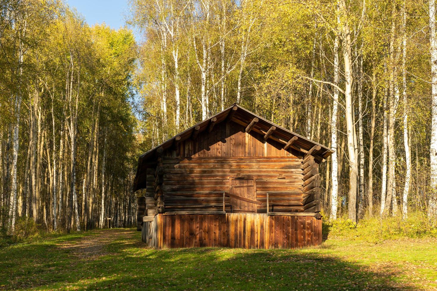 hut in een bos van berkenbomen in Taltsy, Rusland foto