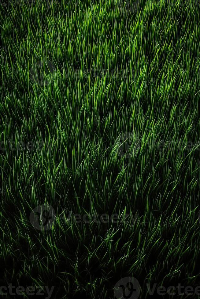 veld- van vers groen gras structuur net zo een achtergrond, top dichtbij omhoog visie. generatief ai. foto