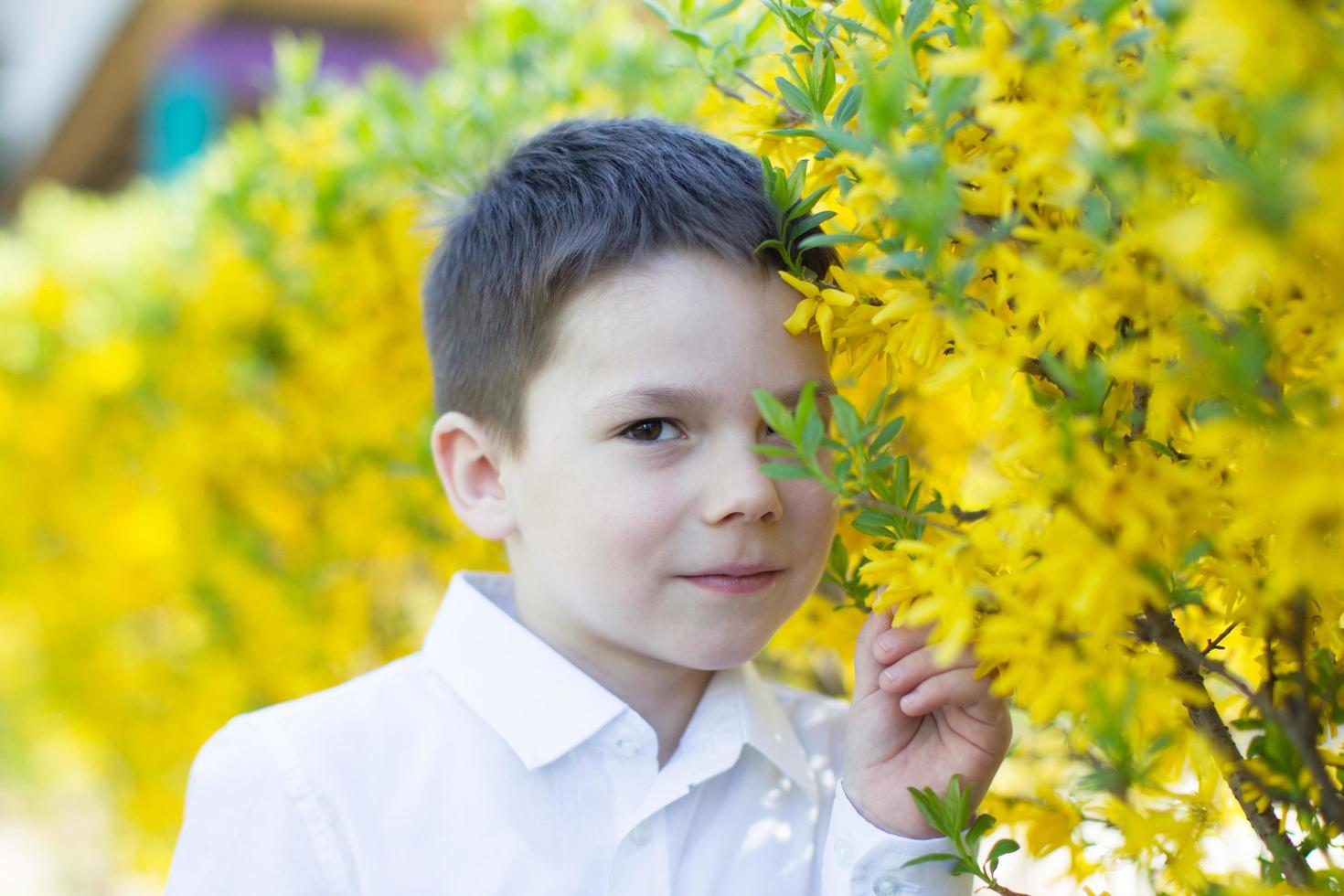 weinig jongen met een geel bloem struik. foto
