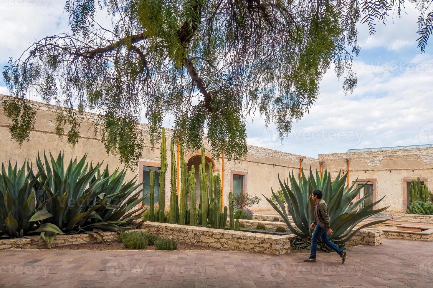 Mens bezoekende de oud rustiek model- school- met cactus in mineraal de pozo's guanajuato Mexico foto