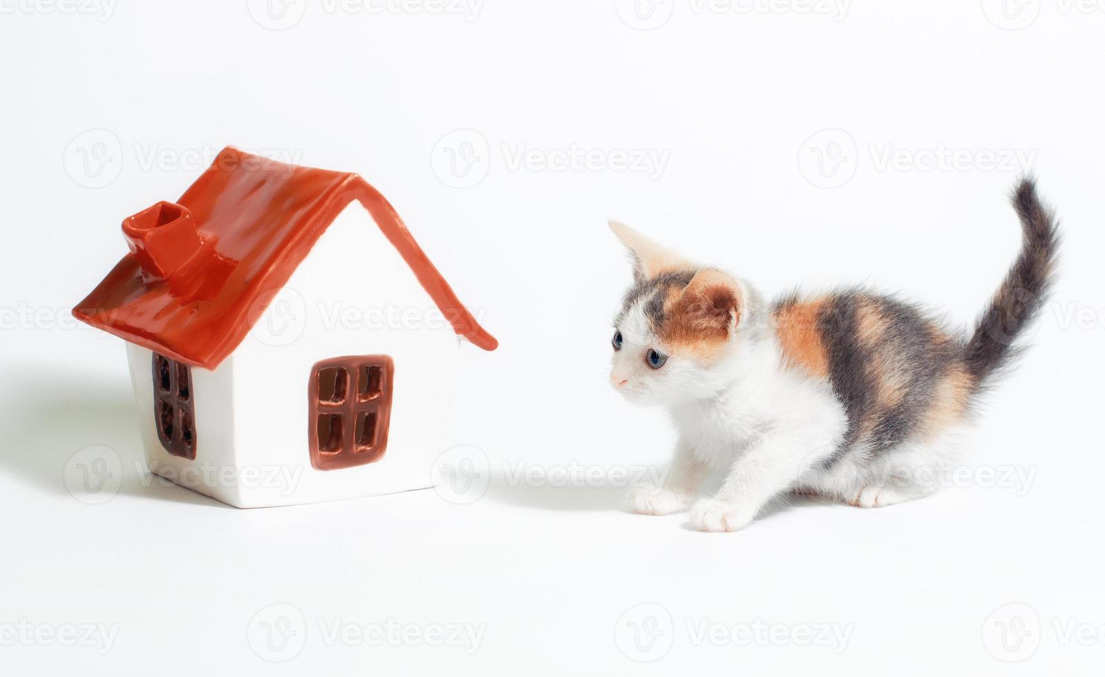goedkeuring van een driekleurig katje naast een klein speelgoedhuisje met een rood dak op een witte achtergrond foto