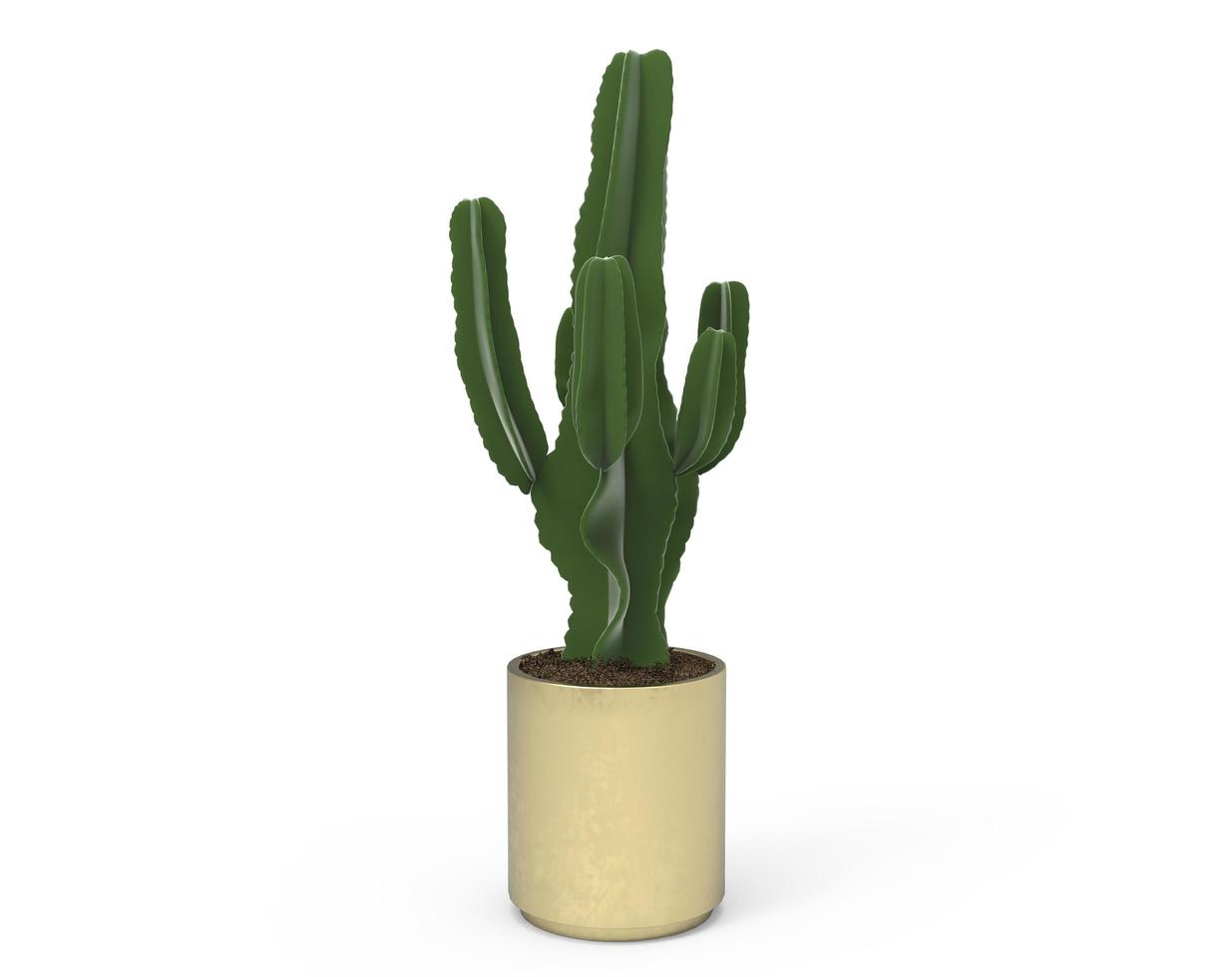 groen cactus in een goud pot Aan een wit achtergrond, voor decoratie en voorkeuren foto