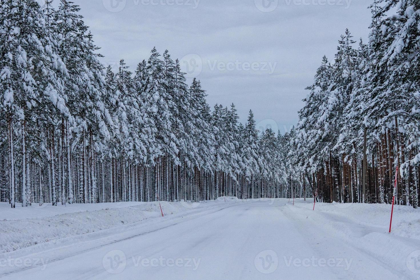 witte winterweg in Noord-Zweden foto