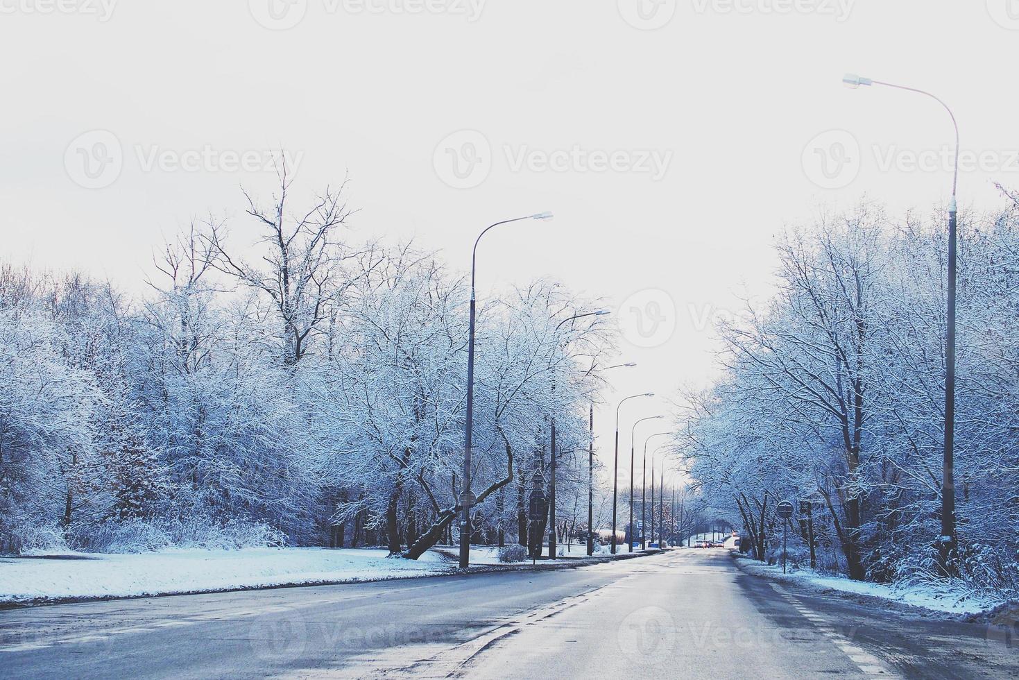 winter landschap met vers sneeuw en bomen foto