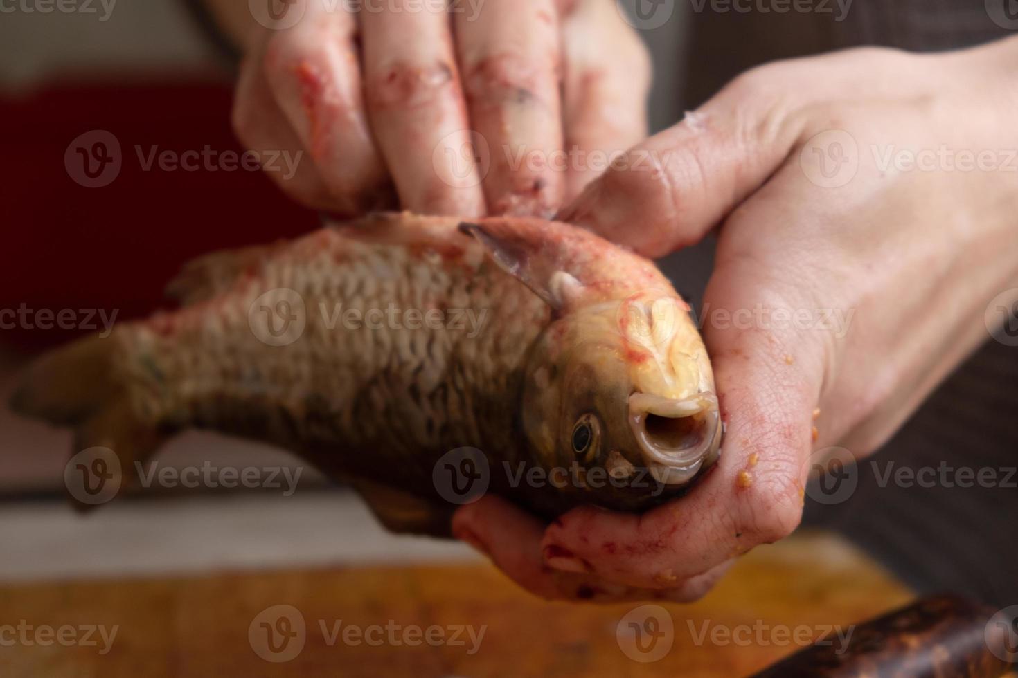 proces van het schoonmaken en snijden van verse levende vis. foto