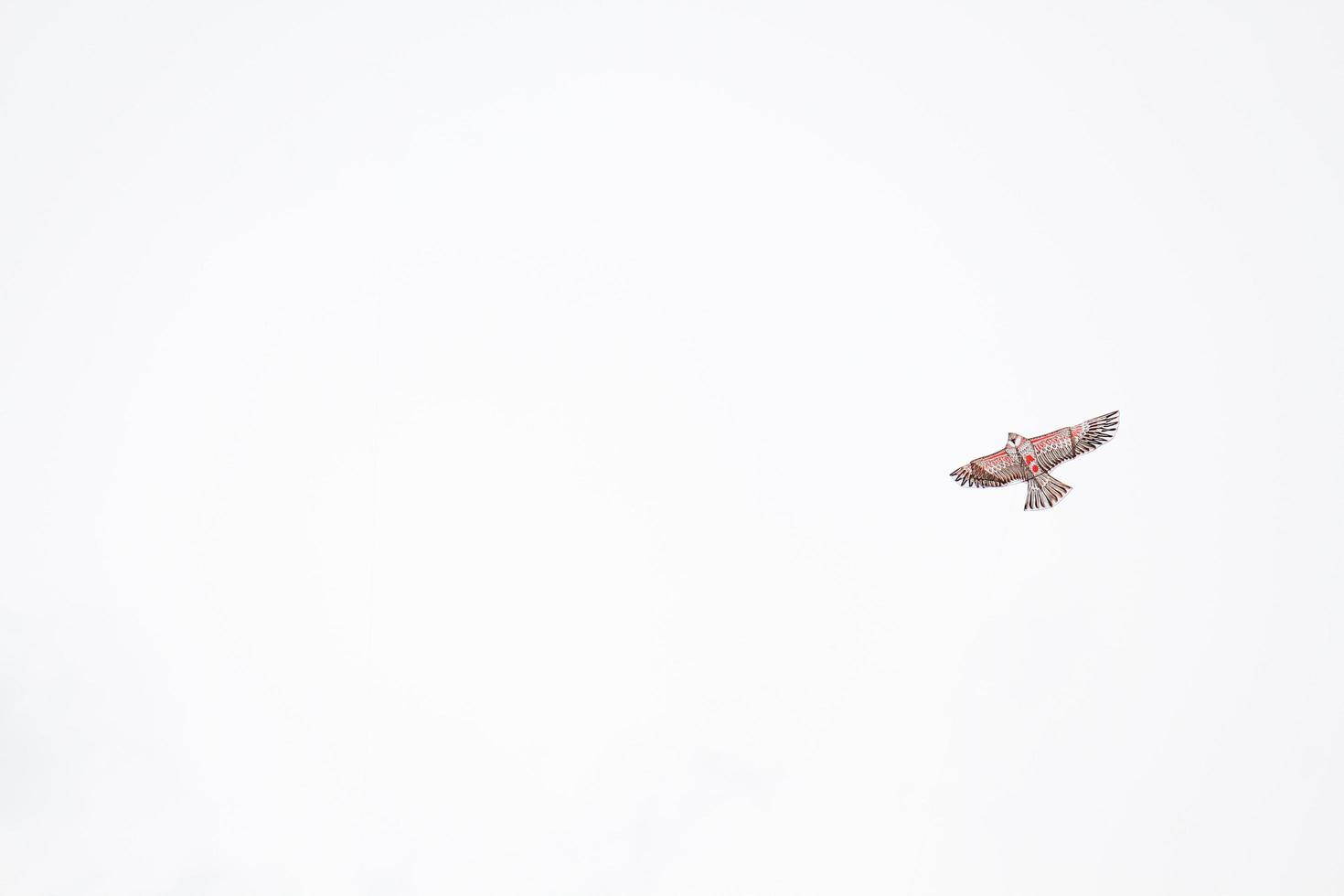 kleurrijk vlieger vormig Leuk vinden vogelstand is blazen Aan wit lucht foto