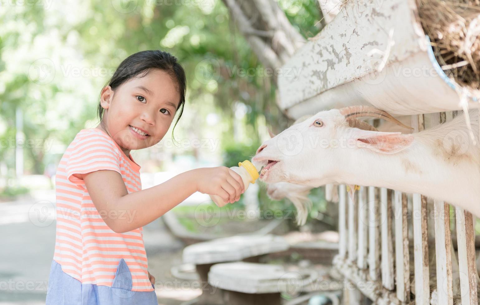 schattig boer meisje voeden baby geit foto