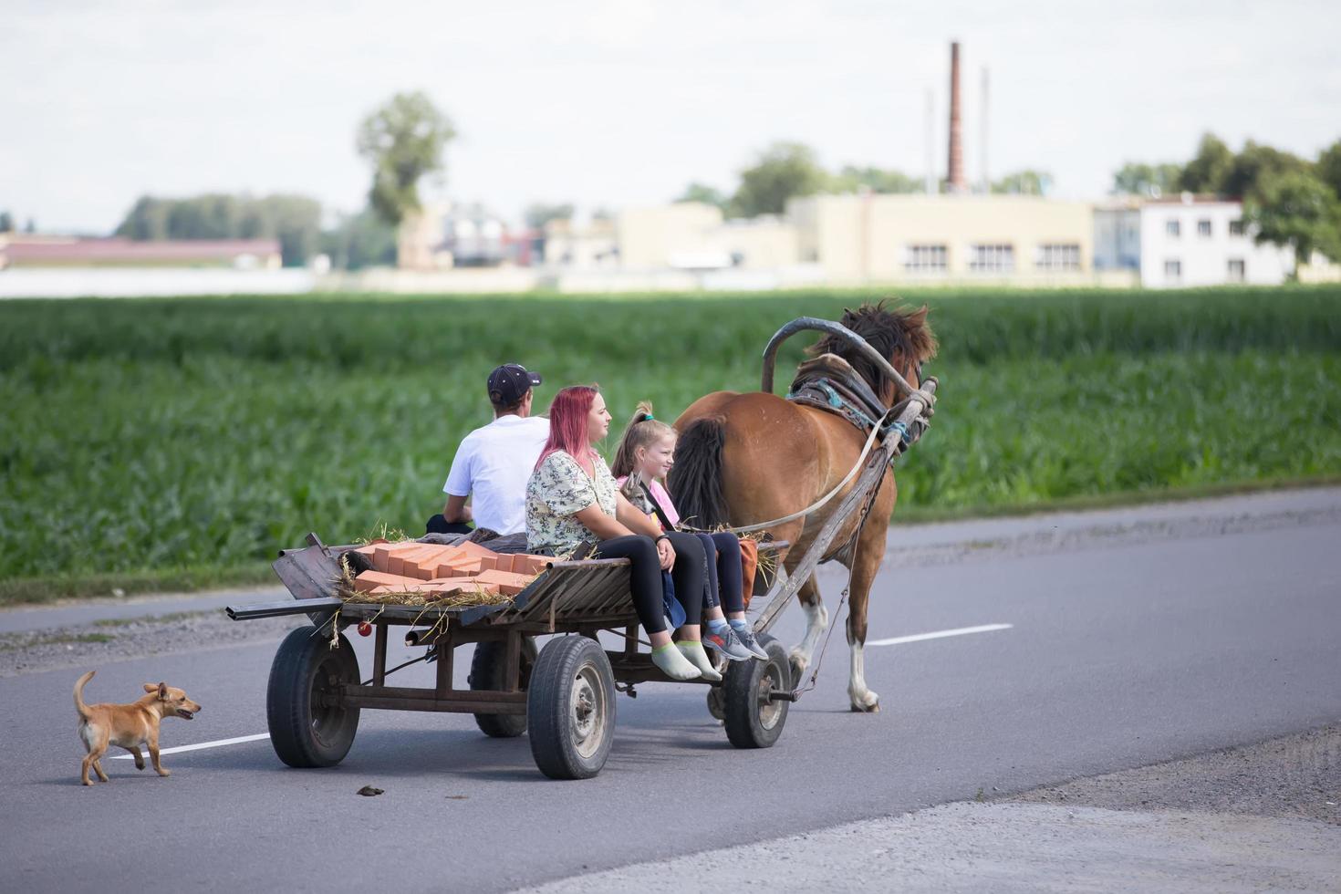 een paard met een kar is draag- mensen langs een asfalt weg. foto