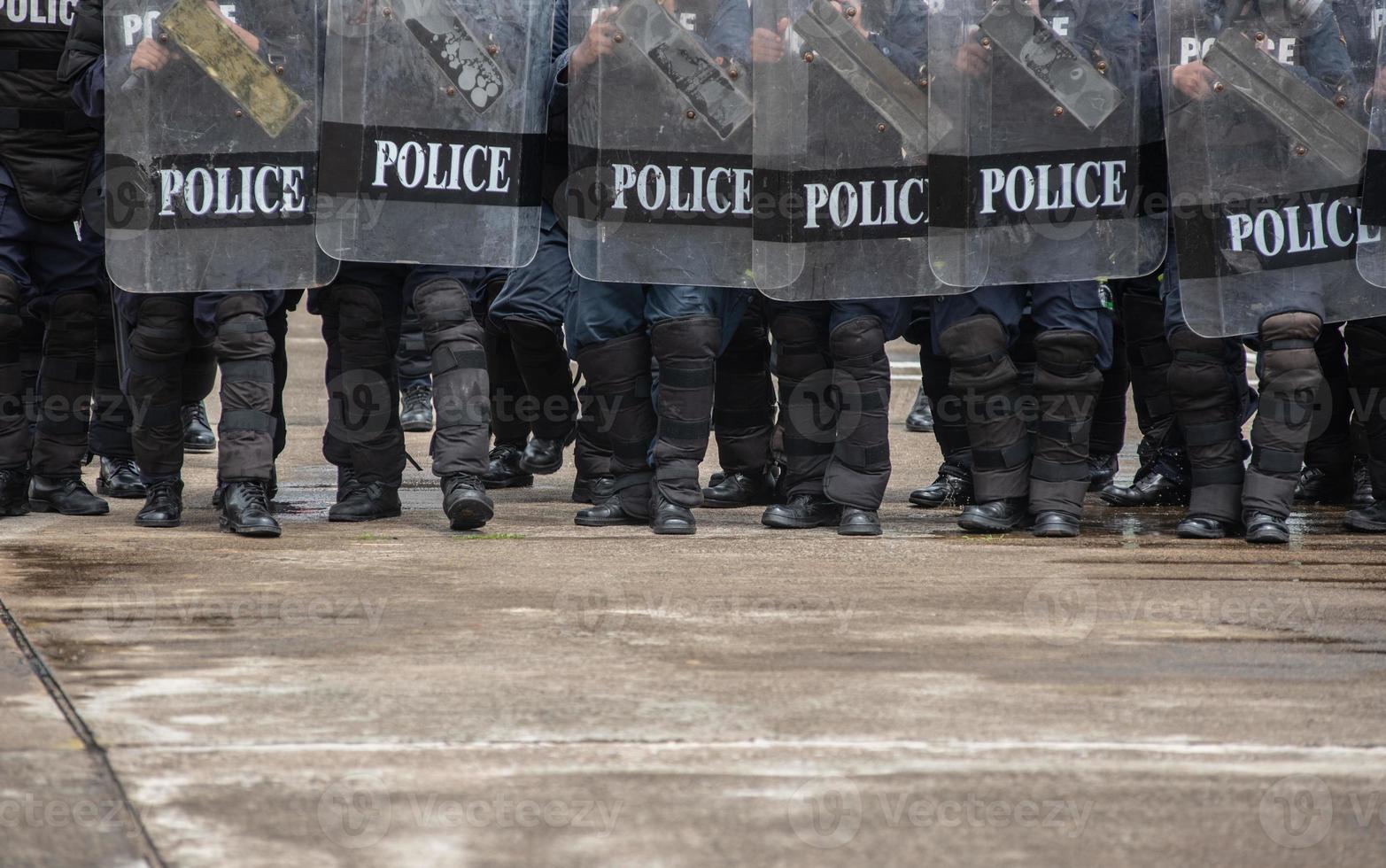 herrie Politie botste met de demonstranten. foto