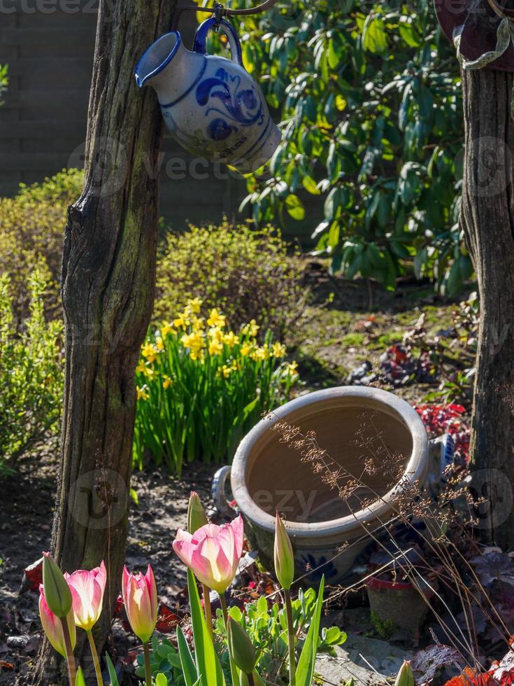 voorjaar tijd in de tuin foto