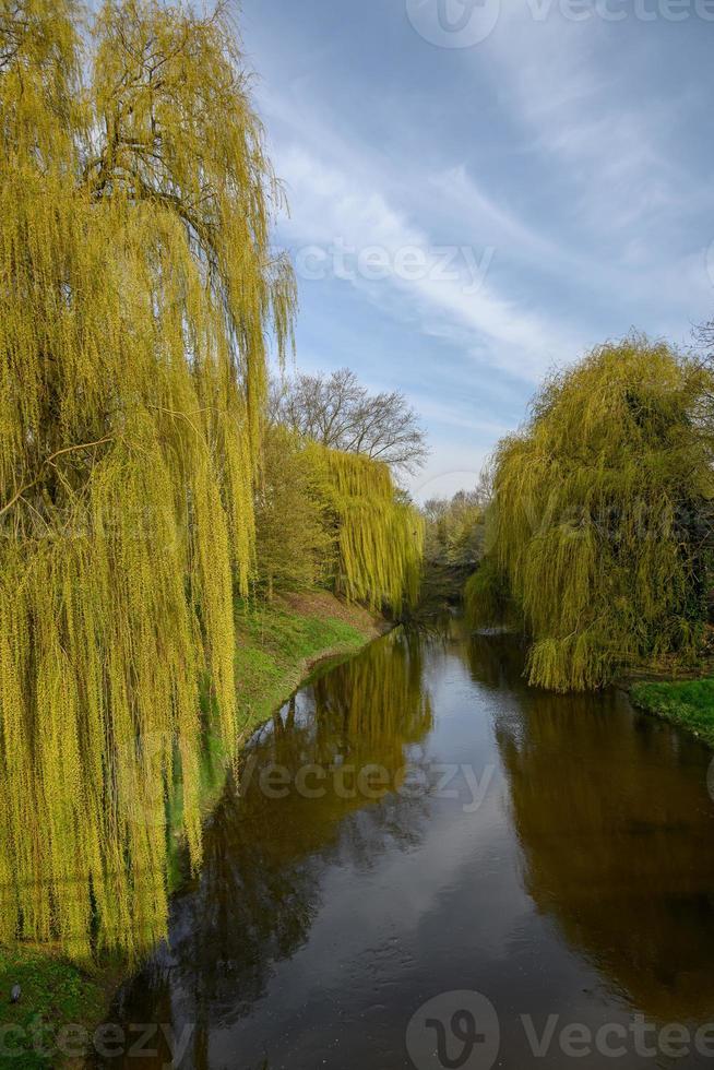 voorjaar tijd in Westfalen foto