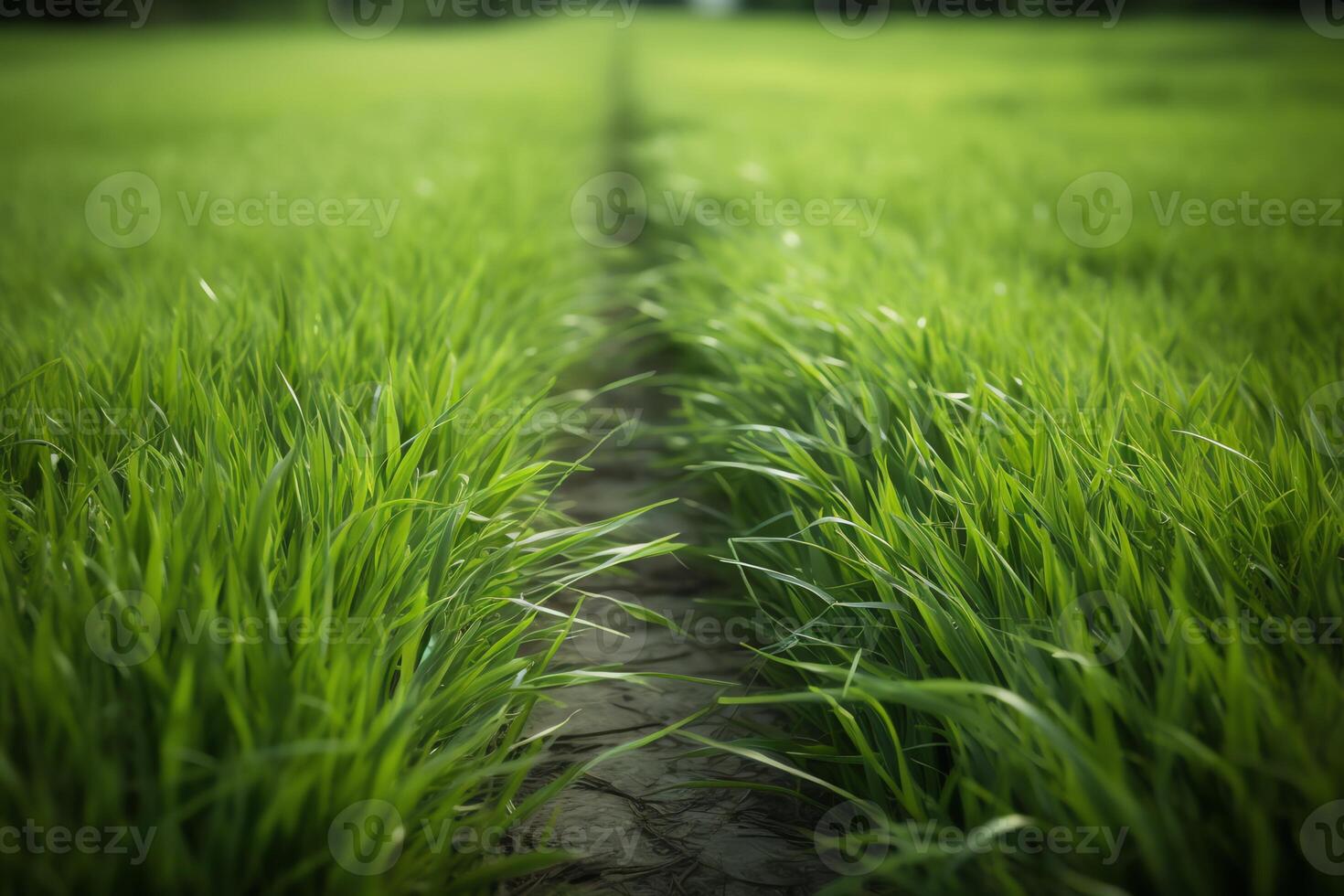 vers gras lijn. ai gegenereerd foto