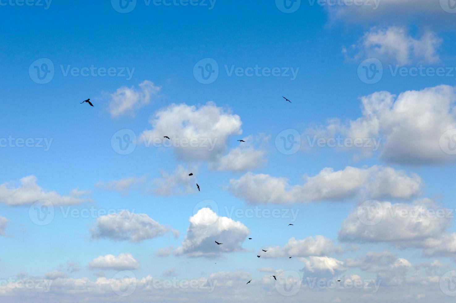vogelstand en wolken foto