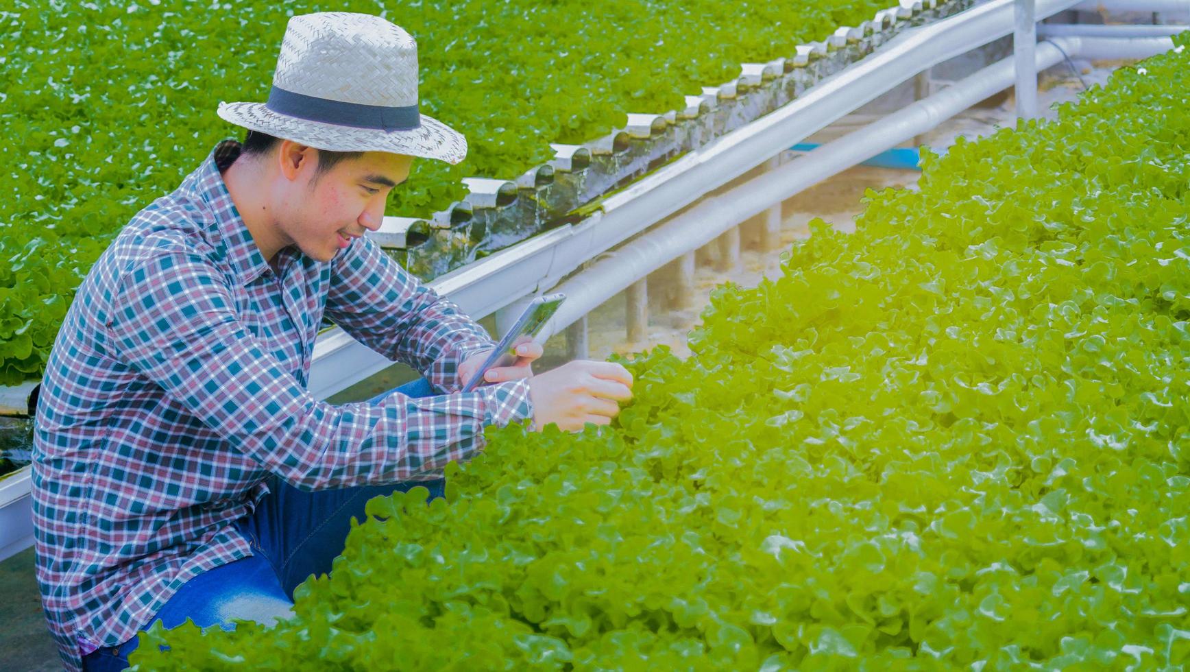 Aziatische man op de boerderij foto